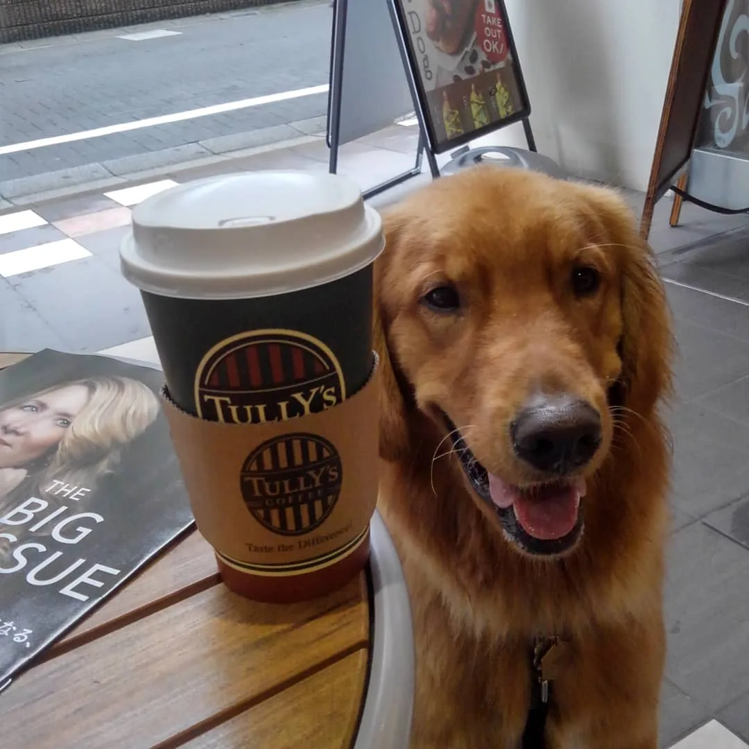 Tully's Coffee · 13